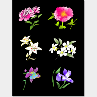 Watercolor Flower collection peony lily iris plumeria floral Posters and Art